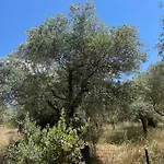 Casa Teresi Thassos