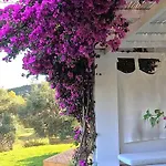 Olivemare