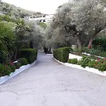 Olive Grove View