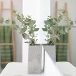 Anamnesia Boutique Apartments Naxos Town