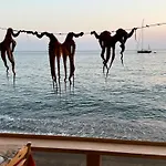 Ocean View Studios And Luxury Rooms