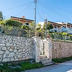 Dolphin Studio