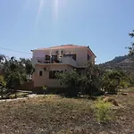 Vassilis Studios