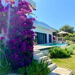Villa Nysa