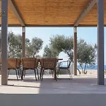 Tersanas Mare Green