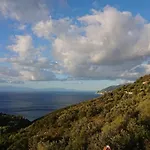 Olive Tree House