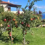 Villa Aurelia