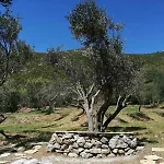 Terraoliva&Herbs