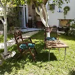 Vasilevi Studios
