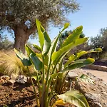 Villa Josefine - With Private Pool And Parking