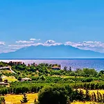 Avenia Potidea Suite
