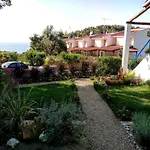 Aelia House Chalkidiki