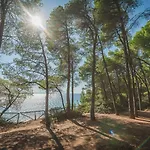 Squirrel Beach Front Villa, Metamorfosi