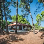 Squirrel Beach Front Villa, Metamorfosi