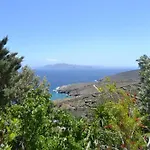 Λεβάντα