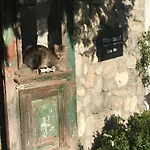 Ktima Dadouli