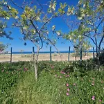 Doukas By The Sea-Little Paradise-Beachfront