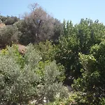Lemon House
