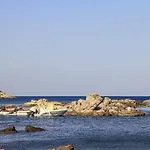 Alpha Stegna Sun
