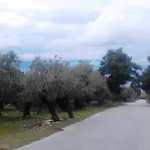 Villa Despina