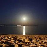 Oasis