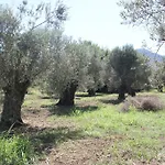 Karya