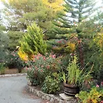 Yianna\'S Home