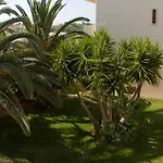 Olga Suites
