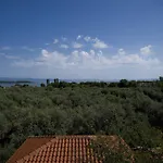 Olivegrove House