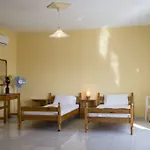 Apts Filitsa Studios