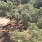 Sapfo Studios