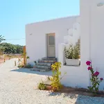 Notos Studios