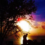 Sunset Hotel