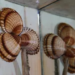 Fasoli Studios