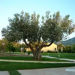 Cosmos Resort