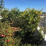 Panorama Rafinas