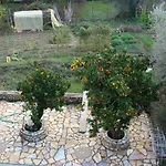 Villa Galini