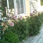Jovana