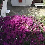 Villa Mikra Asia