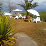 Virginia\'S Beachfront Apartments