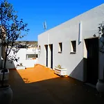 Delfini