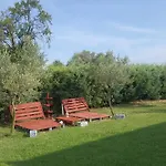 Relaxing Near The Sea