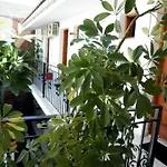 Mimoza Studios