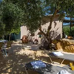 The Olive House