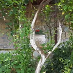 Villa Onar A Stone House With Amazing View