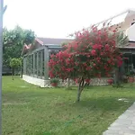 Elena Rooms