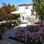 Angelo Studios