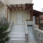 Vivi\'S Home