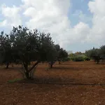 Villa Kampos Paros