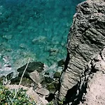 En Lefko